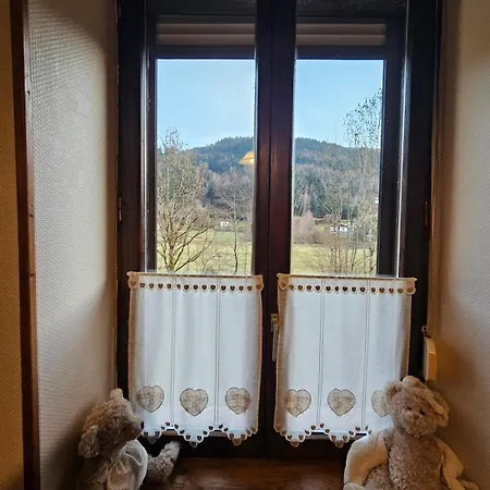Les Huit Joyeux Randonneurs Au Sauna Appartement La Bresse