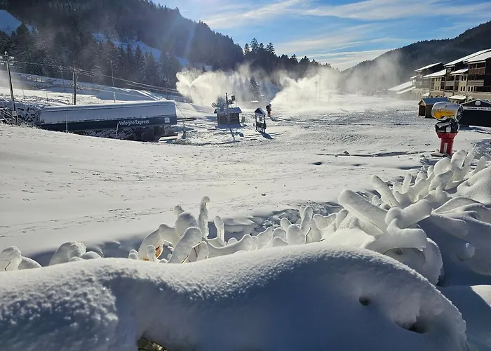 Les Huit Joyeux Randonneurs Au Sauna * La Bresse
