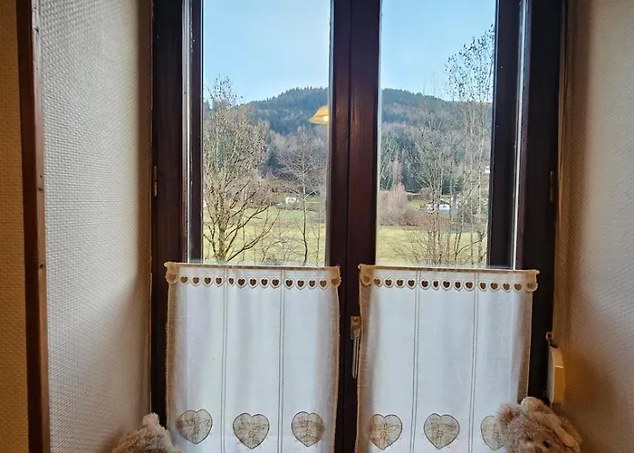 Les Huit Joyeux Randonneurs Au Sauna Apartment La Bresse